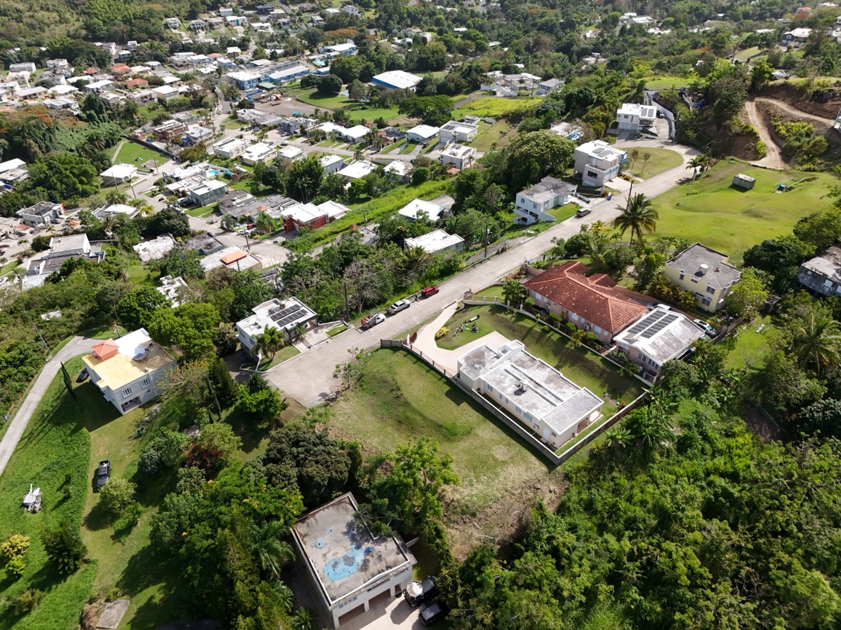Angled aerial drone view of Hatillo neighborhood with houses, streets and lush greenery in Puerto Rico